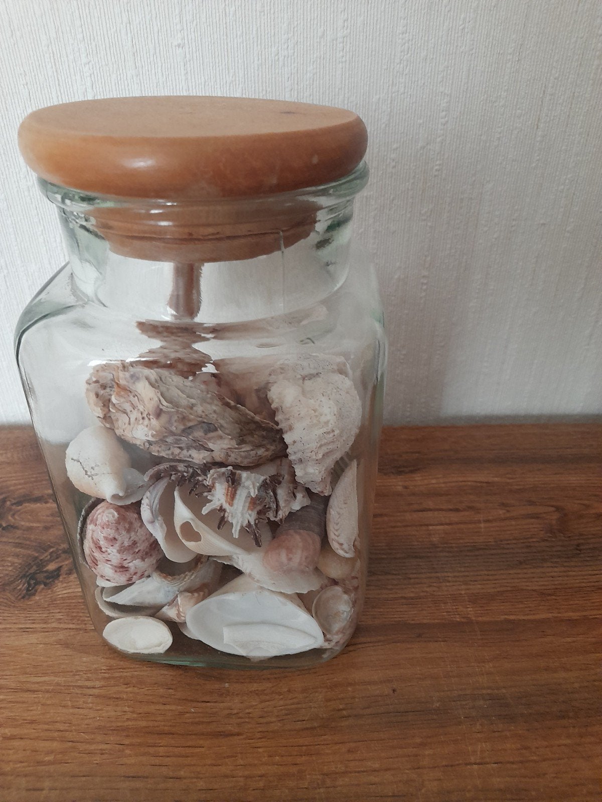 Glazen pot met diverse schelpen, Gebruikt, Meerkleurig, Mediterraans, Ophalen of Verzenden