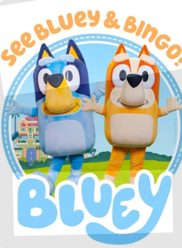 Bluey en Bing te huur, Ophalen of Verzenden, Verjaardag
