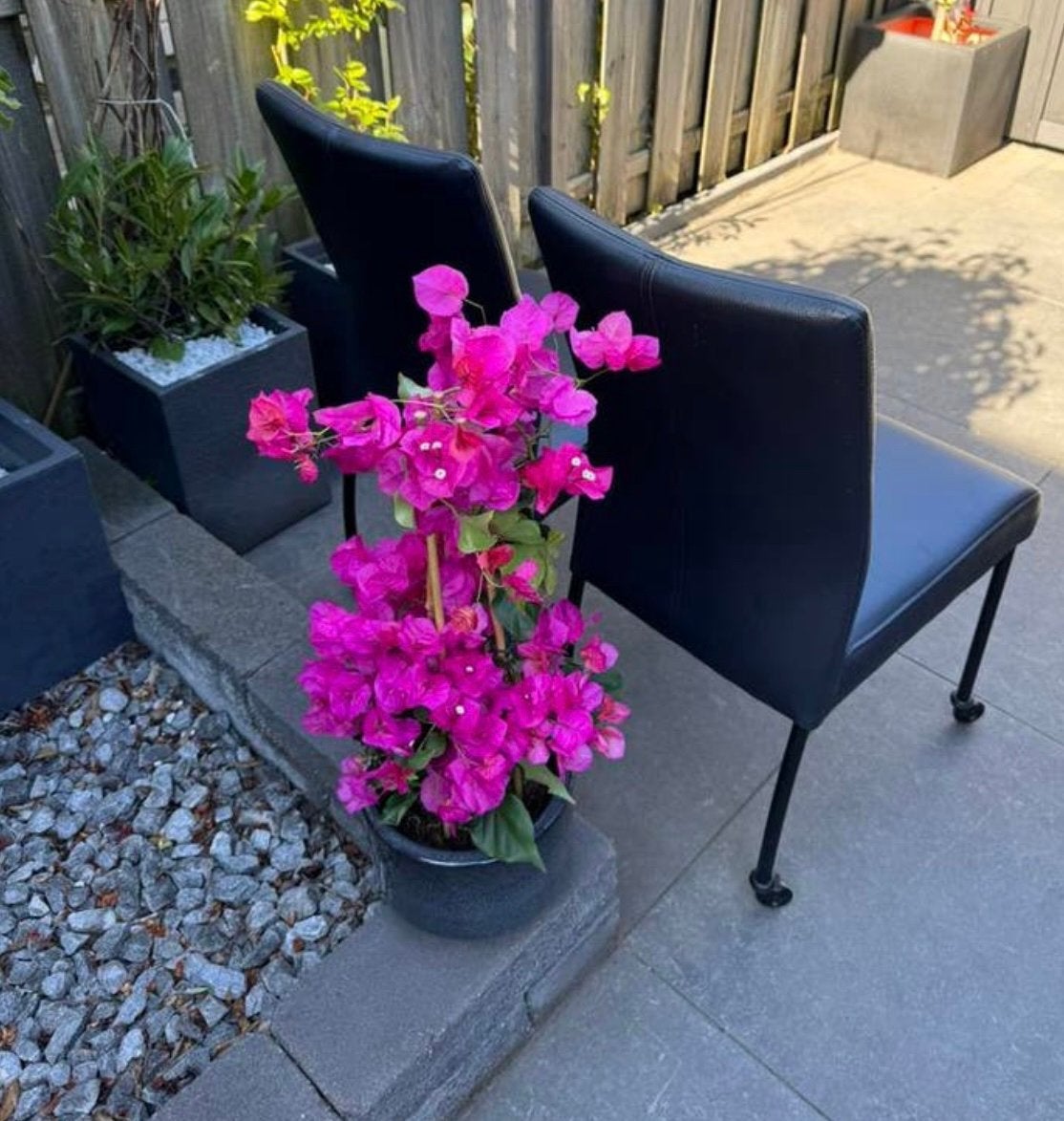 2 stoelen, Tuin en Terras, Ophalen of Verzenden, Zo goed als nieuw, Rond, Hout