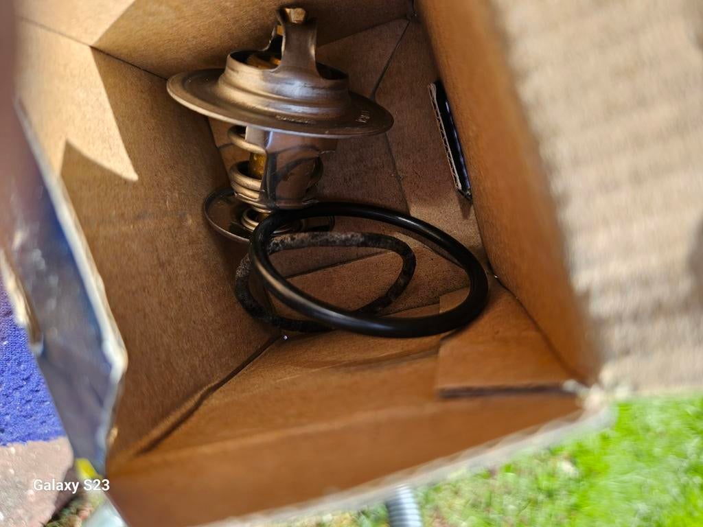 Thermostaat vw V159918894, Ophalen of Verzenden, Nieuw