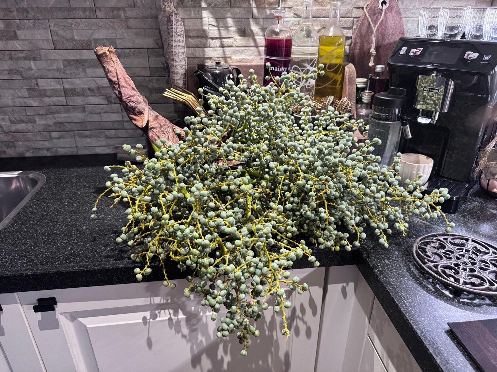 XXXL Dadel Takken Vers van de Palmen - €15 per tak, Ophalen, Nieuw, Groen, Natuurlijk materiaal