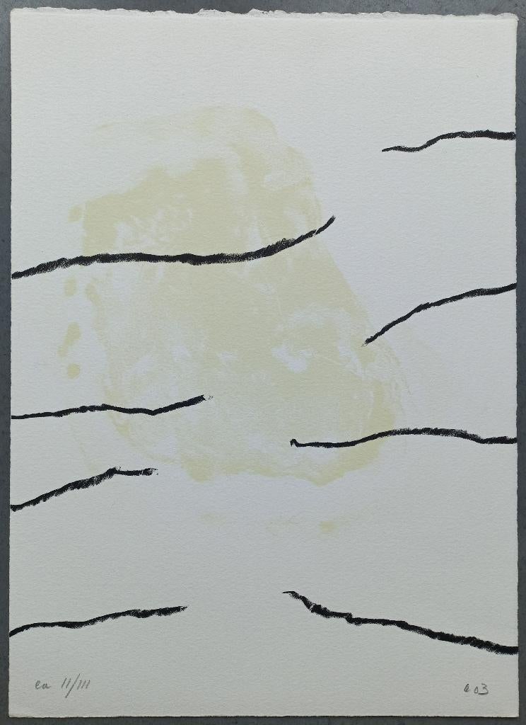 Armando – gemonografeerde litho, Ophalen of Verzenden