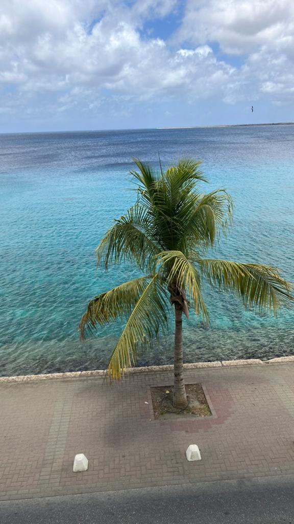 Appartement op Bonaire, Ophalen of Verzenden