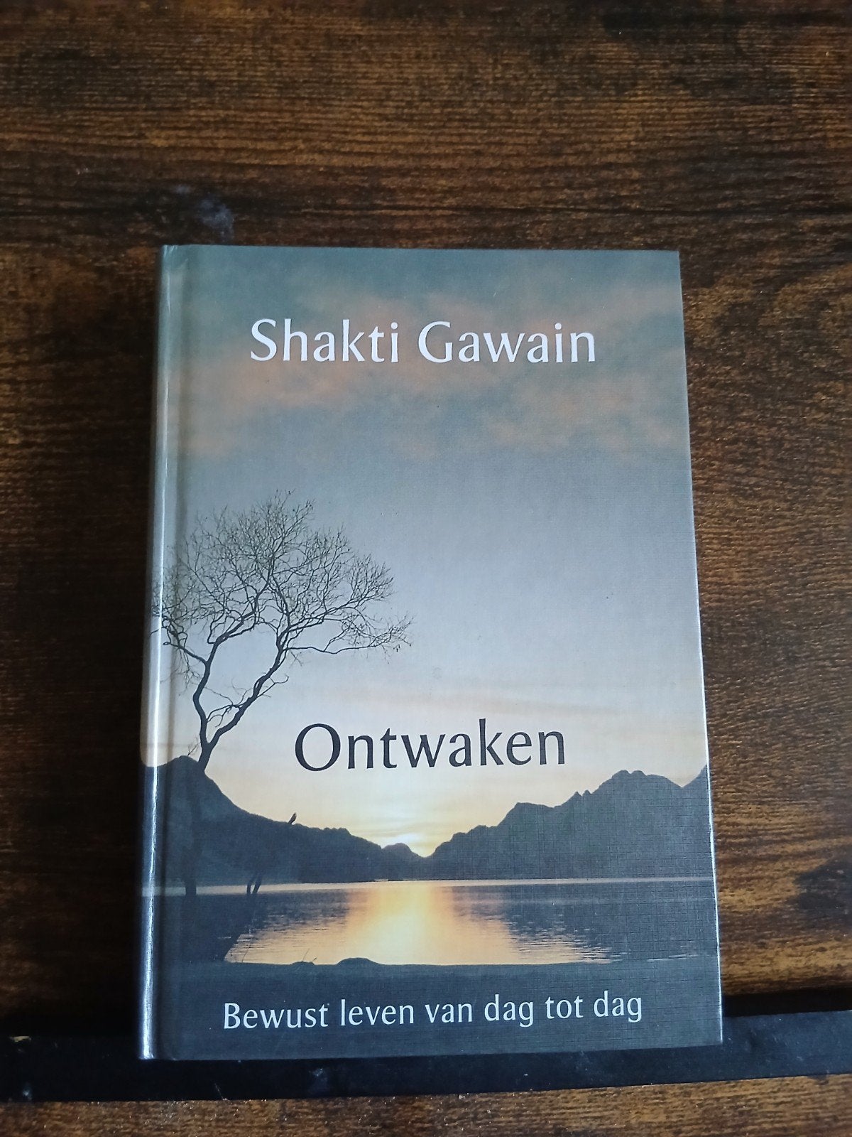 Ontwaken - Bewust leven van dag tot dag - Shakti Gawain, Gelezen, Achtergrond en Informatie, Spiritualiteit algemeen, Shakti Gawain