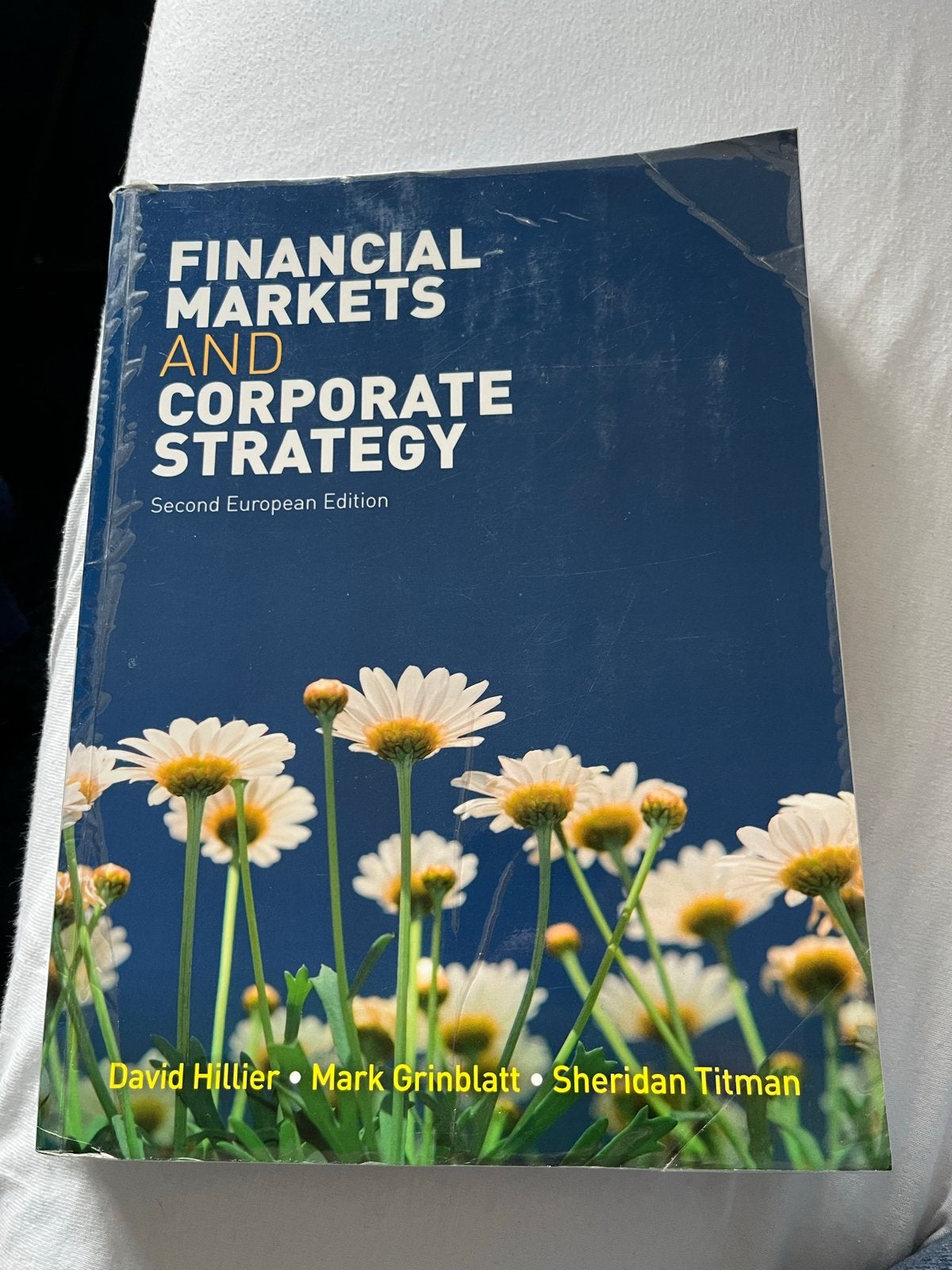 Financial Markets and Corporate Strategy - 2nd European Ed., Boeken, Ophalen of Verzenden, Gamma, Gelezen, HBO