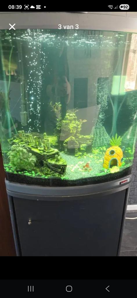 Een sera aquarium 120L, Dieren en Toebehoren, Vissen | Aquaria en Toebehoren, Ophalen, Leeg aquarium