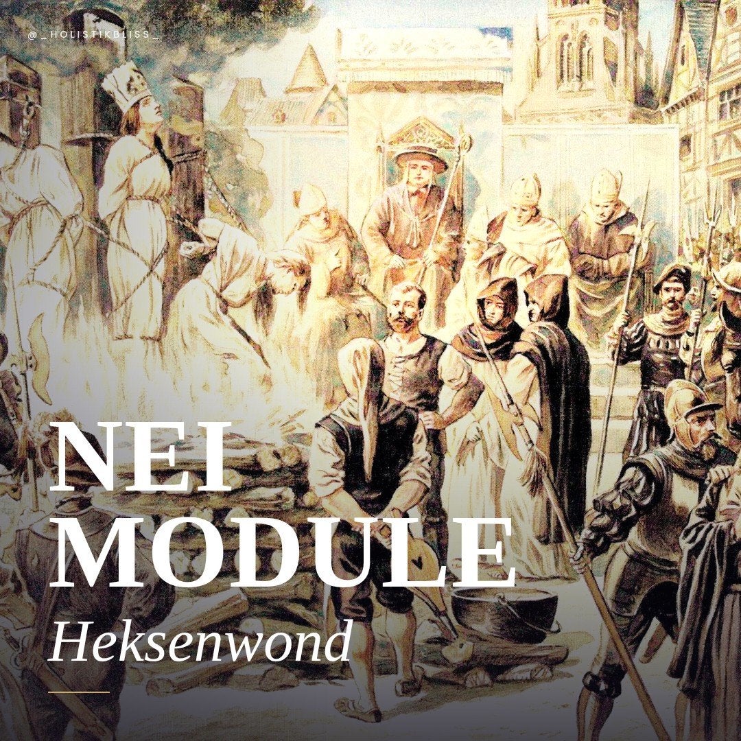 Nei werkmodule, biotensor, Boeken, Studieboeken en Cursussen, Ophalen of Verzenden
