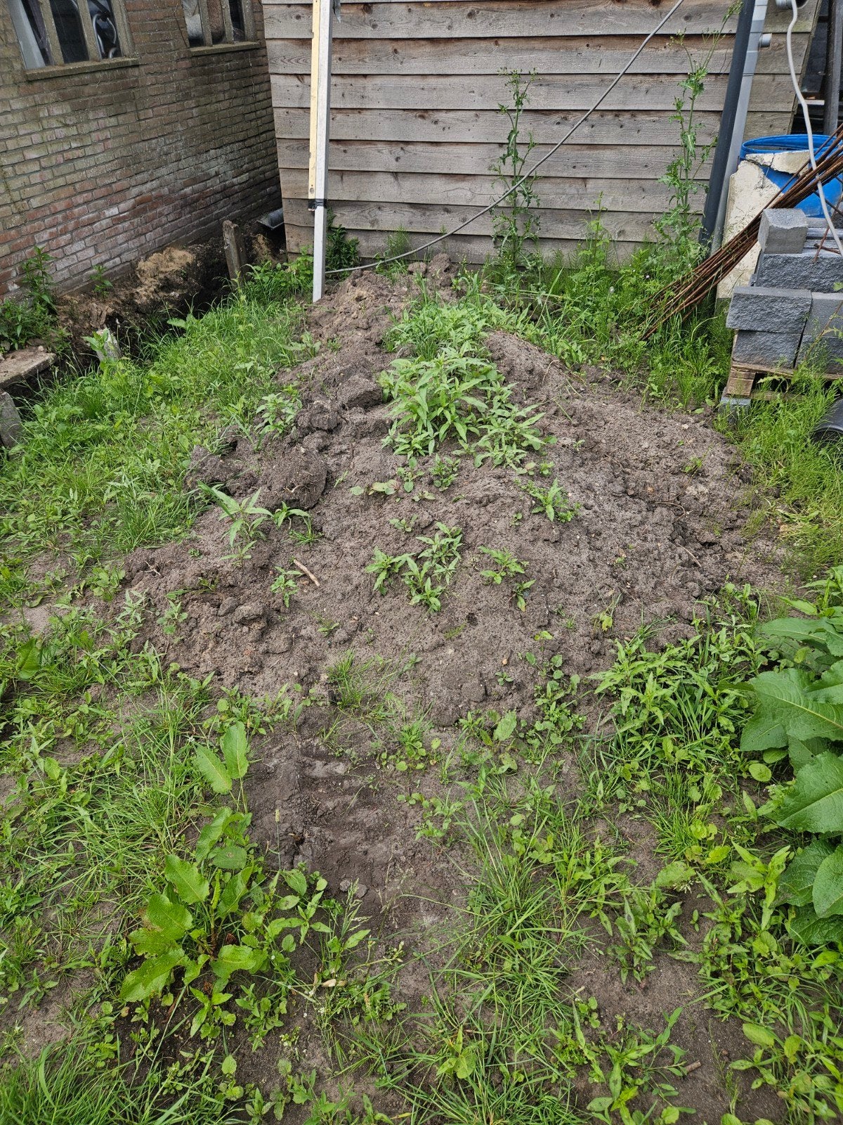gratis Zwarte grond, ongeveer 1 m², Tuin en Terras, Zand, Ophalen of Verzenden, Gebruikt, Overige typen