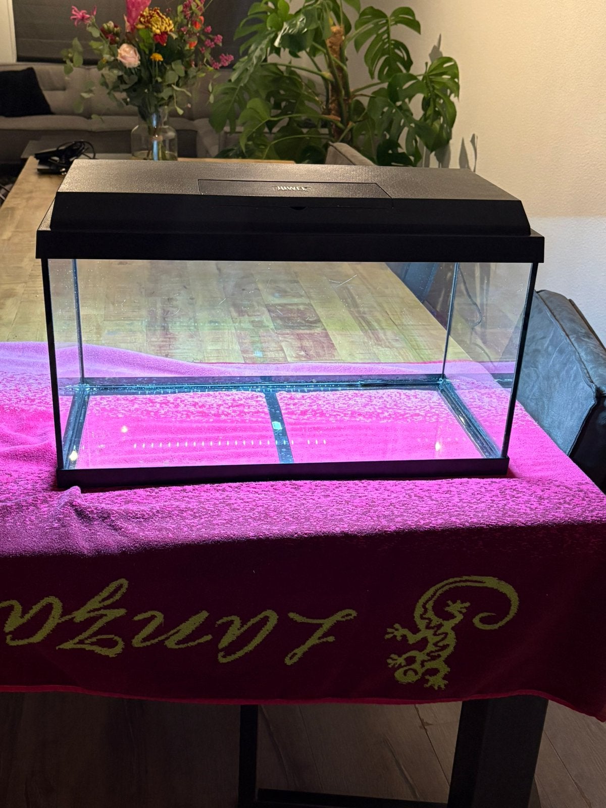 Juwel aquarium 60 liter, Ophalen, Zo goed als nieuw, Leeg aquarium, Juwel