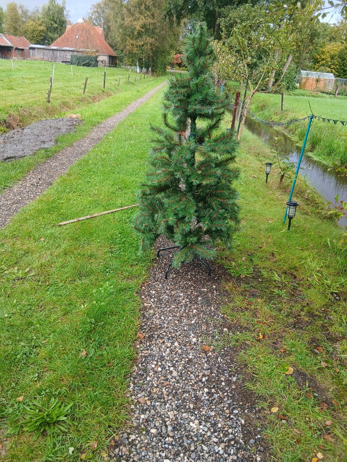kerstboom, Ophalen of Verzenden