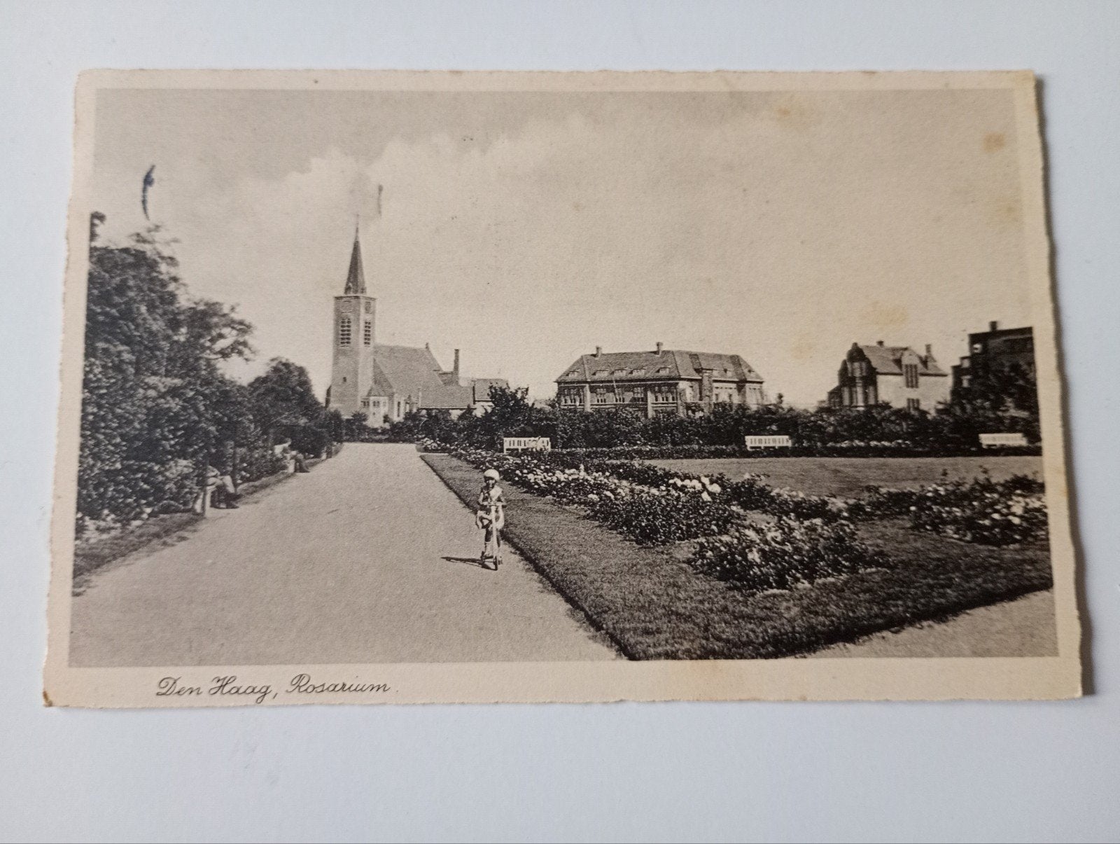Den Haag Rosarium 1937, Ophalen of Verzenden, 1920 tot 1940, Gelopen, Zuid-Holland