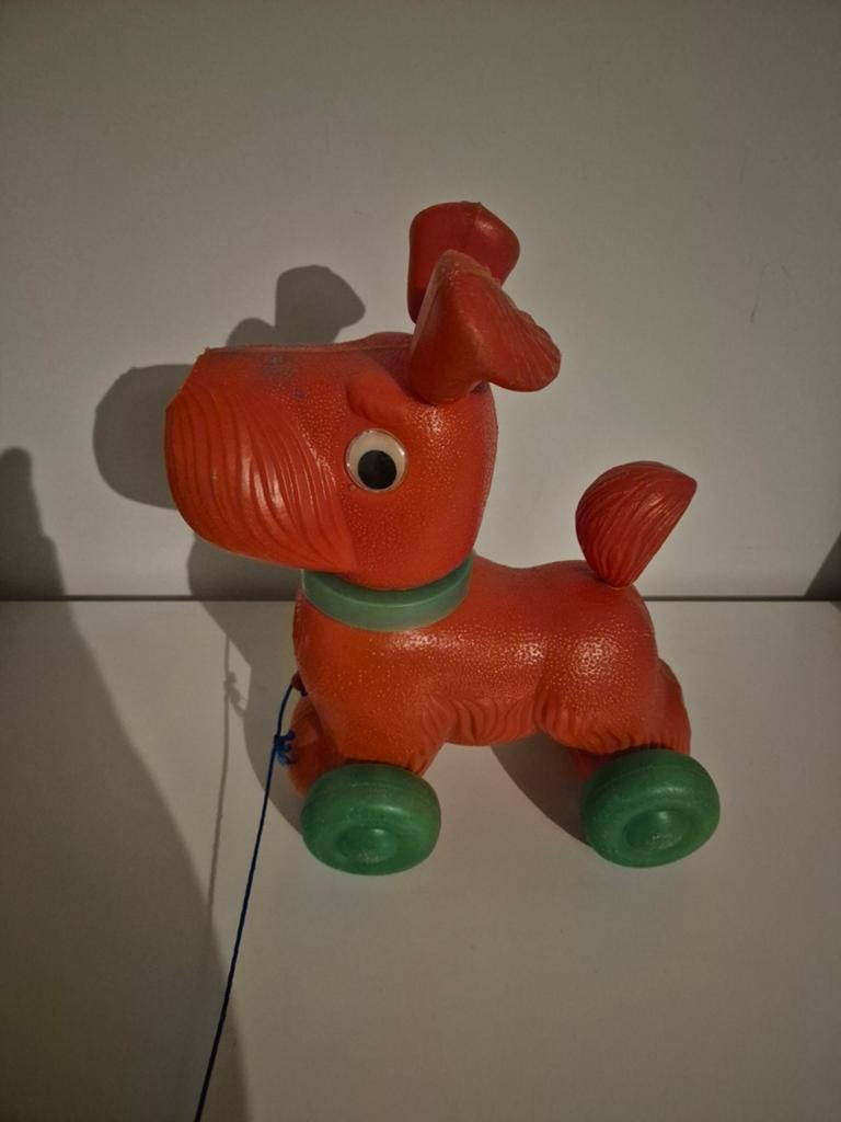 Loophondje voor kinderen, Ophalen of Verzenden, Speelset