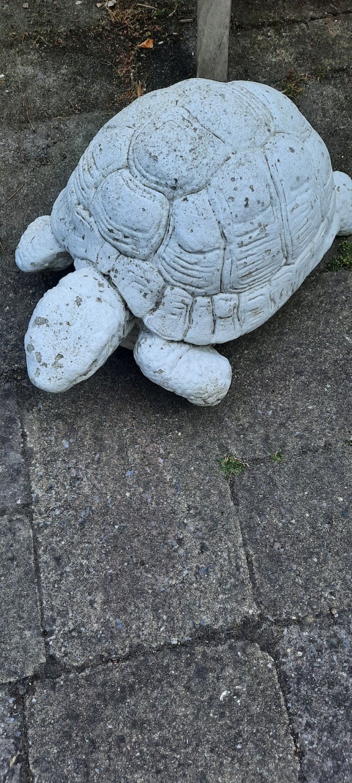 Decoratieve tuinschildpad van  beton, Tuin en Terras, Ophalen, Gebruikt, Steen, Dierenbeeld