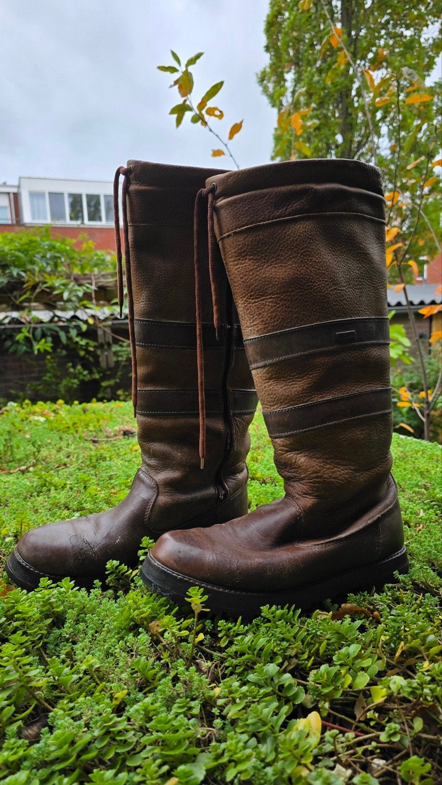 Dubarry Galway laarzen 43/44, Bruin, Dubarry, Ophalen of Verzenden, Regenlaarzen
