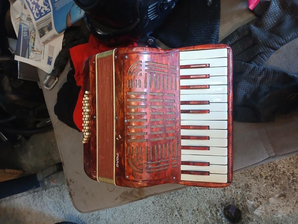 Putana accordeon, Muziek en Instrumenten, Accordeons, Ophalen, 32-bas, Overige merken