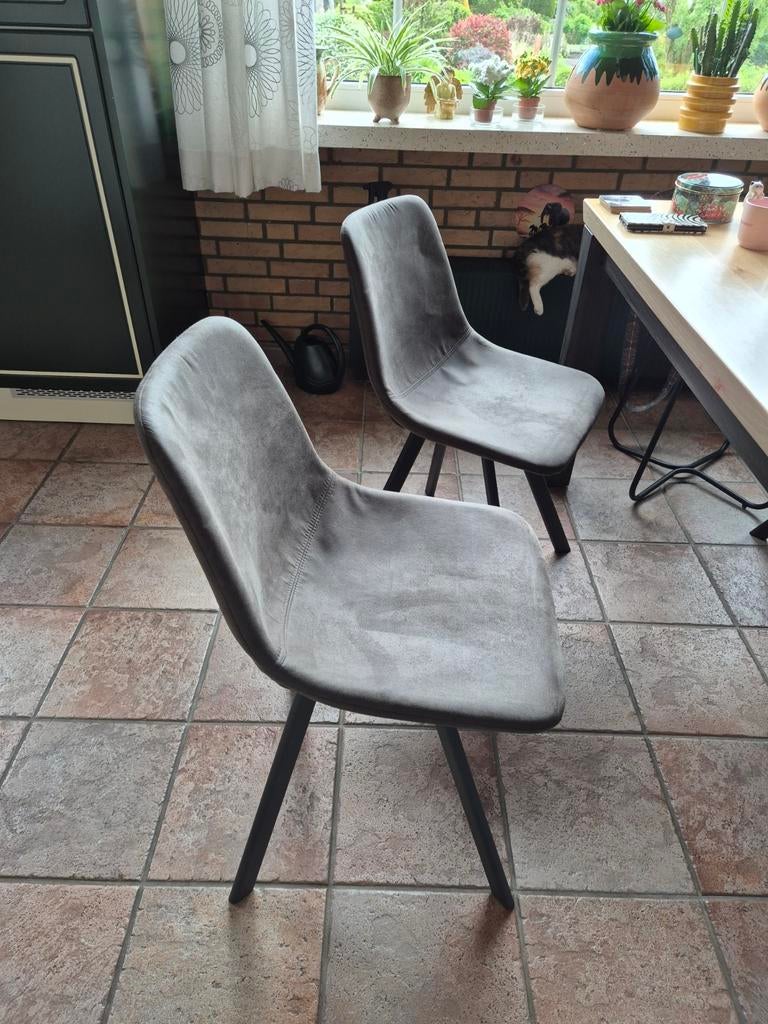 Eetkamerstoelen te koop , 6 stuks, Ophalen