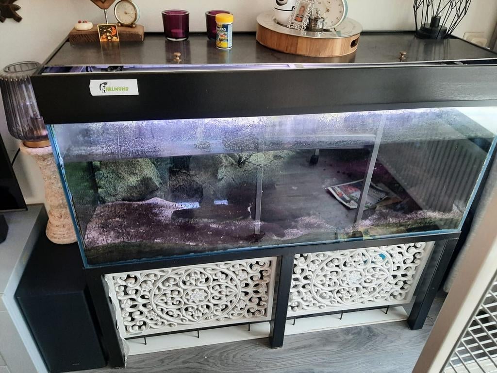 Complete aquarium, Ophalen of Verzenden, Gebruikt, Gevuld zoetwateraquarium