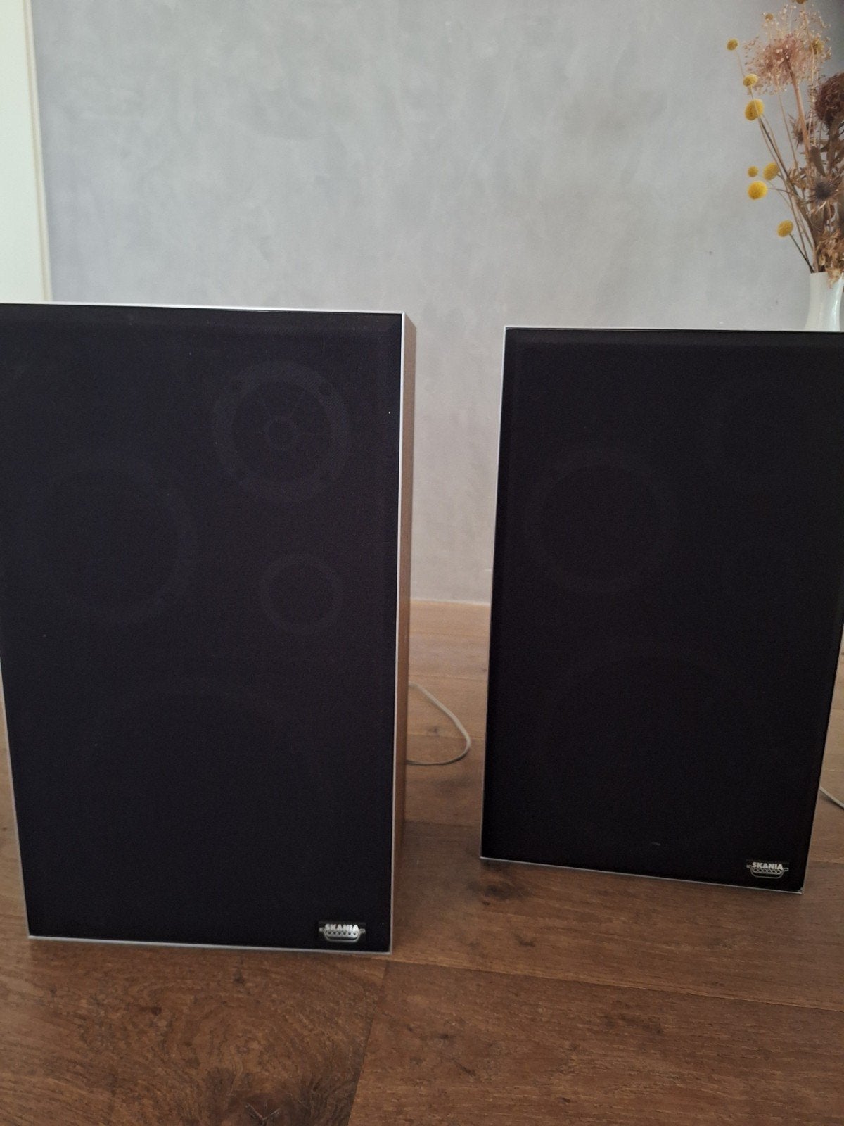 Jamo Skania 8480 Vloerstaande Luidsprekers - 100 Watt, Ophalen, Vloerstaande luidspreker, Gebruikt, 60 tot 120 watt