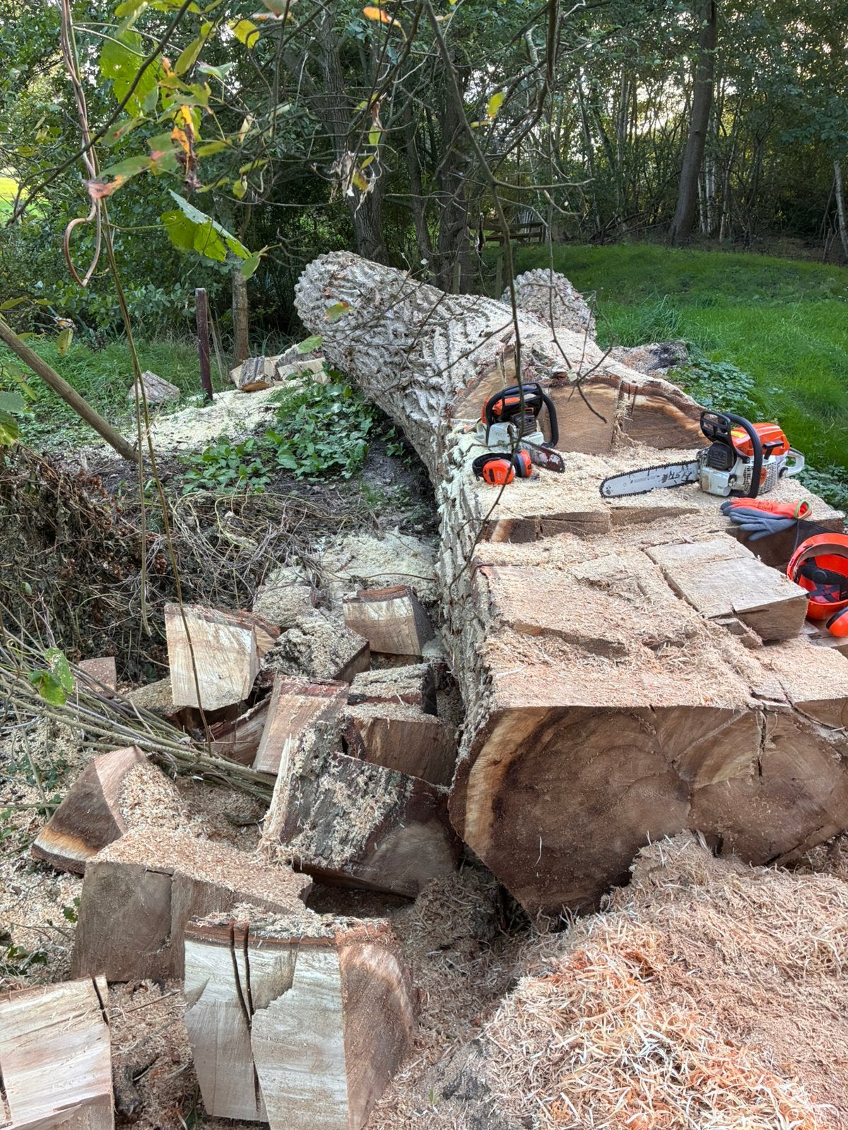 Hout kloven en zagen, Ophalen of Verzenden