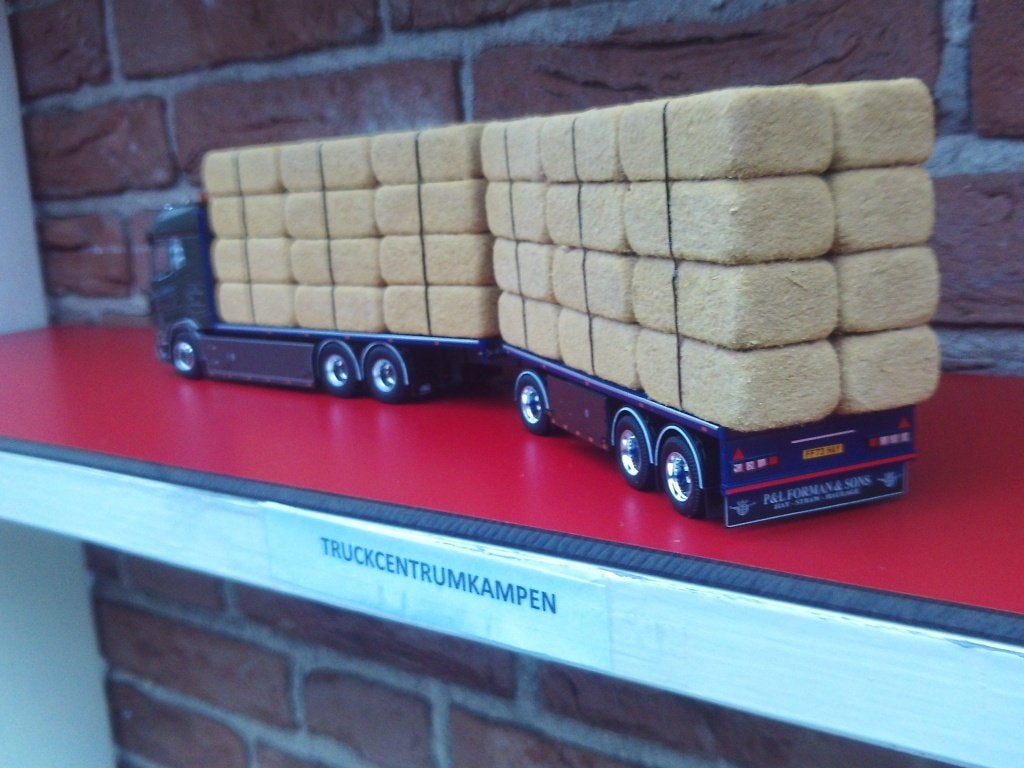 Tekno  Daf  XF  Motorwagen  van  P. & L. Forman., Ophalen of Verzenden, Nieuw, Bus of Vrachtwagen, Tekno