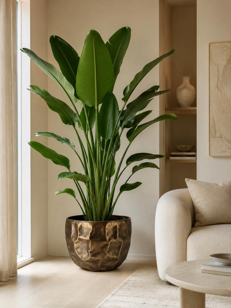Intratuin bloempot Tara bruin 46cm, Ophalen, Gebruikt, 40 cm of meer, Rond