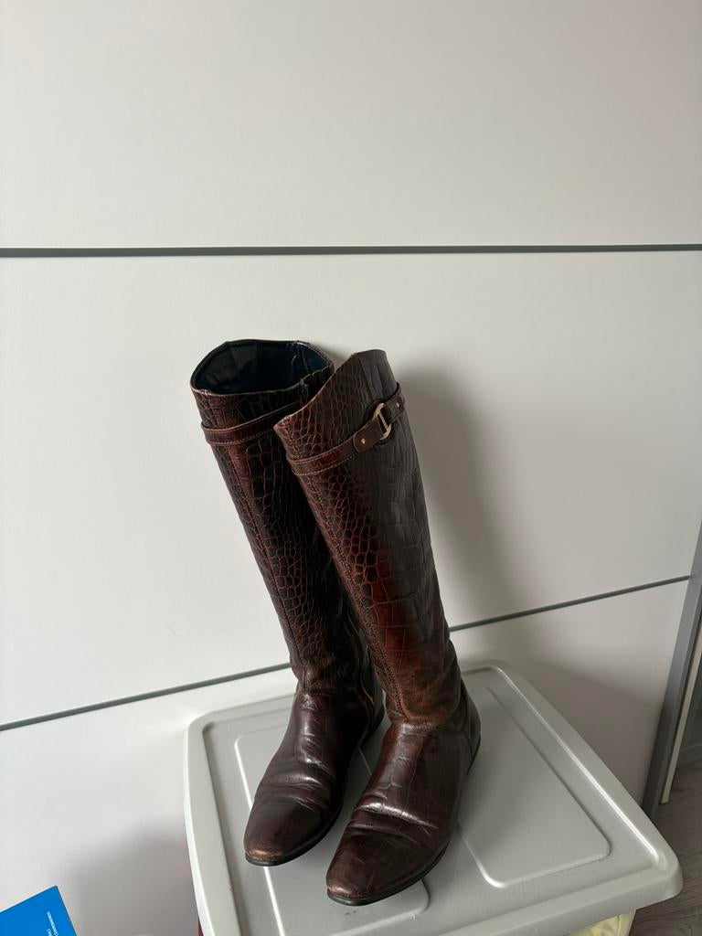 Tommy Hilfiger laarzen, Kleding | Dames, Schoenen, Ophalen of Verzenden, Zo goed als nieuw, Bruin, Hoge laarzen