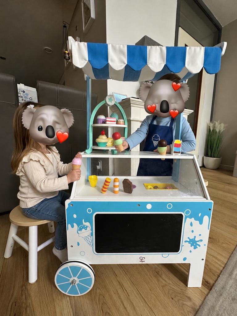 Hape Houten IJskar met Accessoires - Speelgoed, Ophalen, Zo goed als nieuw, Jongen of Meisje