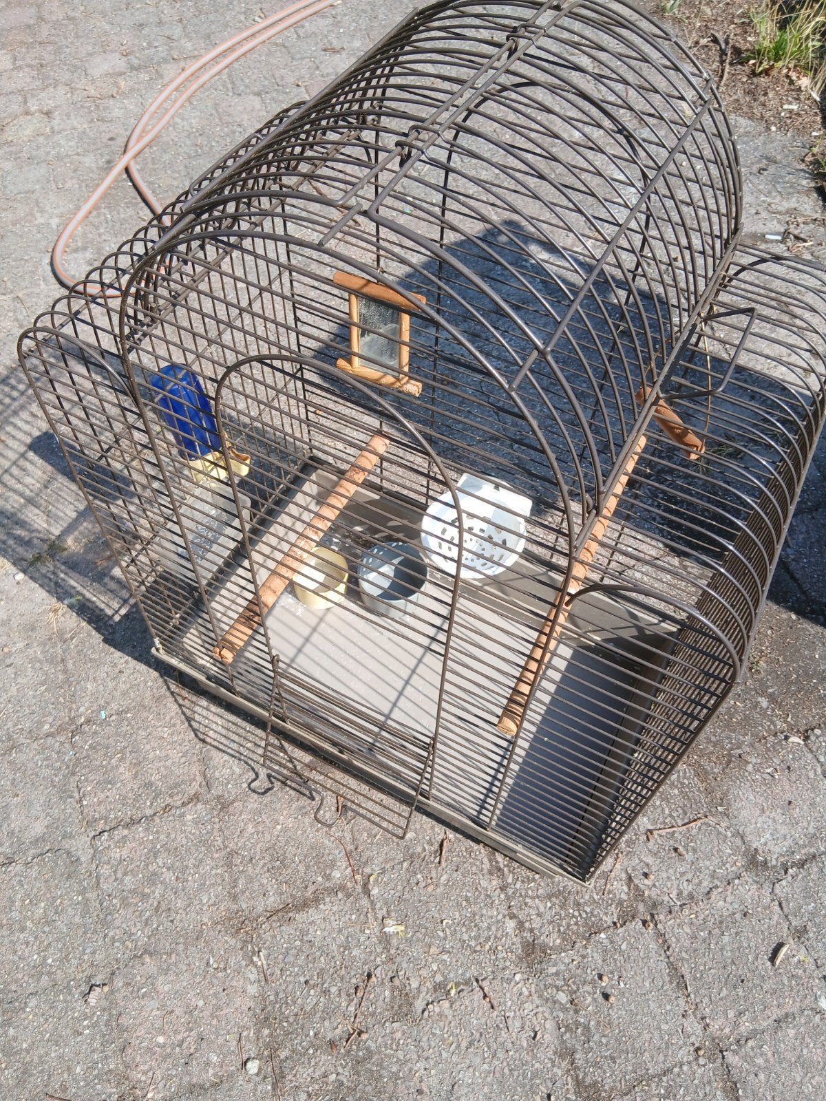 Te koop  vogelkooi, Dieren en Toebehoren, Vogels | Hokken en Kooien, Ophalen, Metaal, Vogelkooi