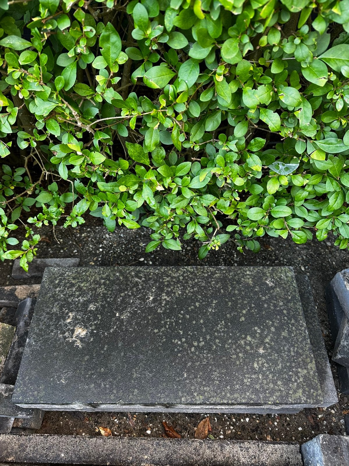 3 grote stapstenen 30x60x6cm gratis!, Tuin en Terras, Ophalen, Gebruikt, Minder dan 5 m², Beton