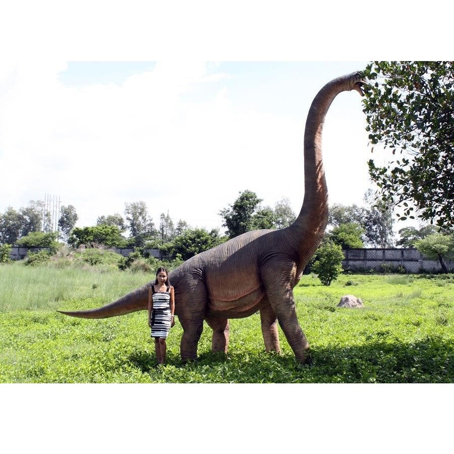 Brachiosaurus – Dinosaurus beeld hoogte 547 cm, Ophalen, Nieuw, Overige typen