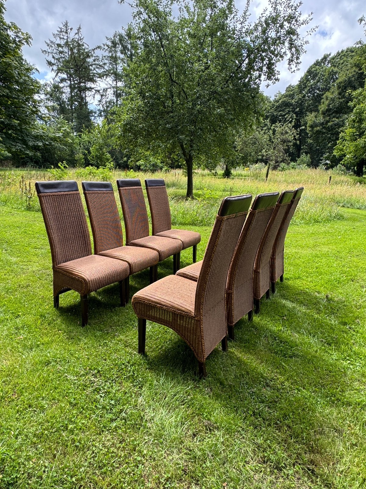 Loom eetkamer stoelen met leer 4 of 8 stuks, Ophalen, Bruin, Leer, Loom