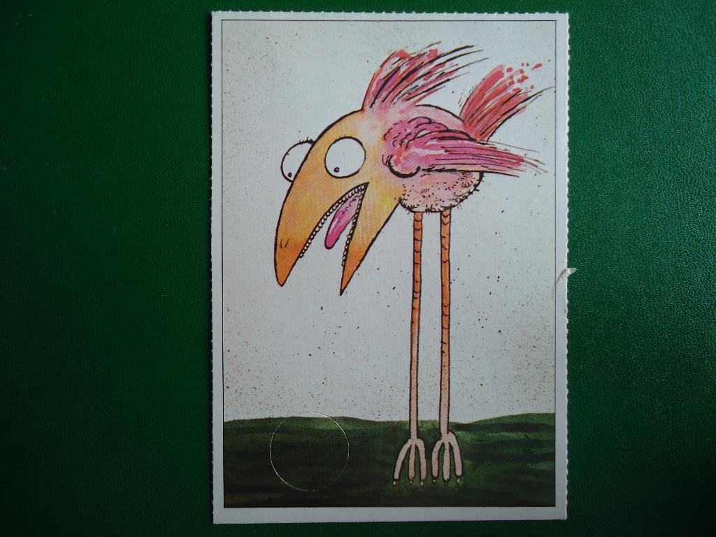 (1462) Dierenkaart: VOGEL, Verzenden, 1980 tot heden, Ongelopen, Vogel