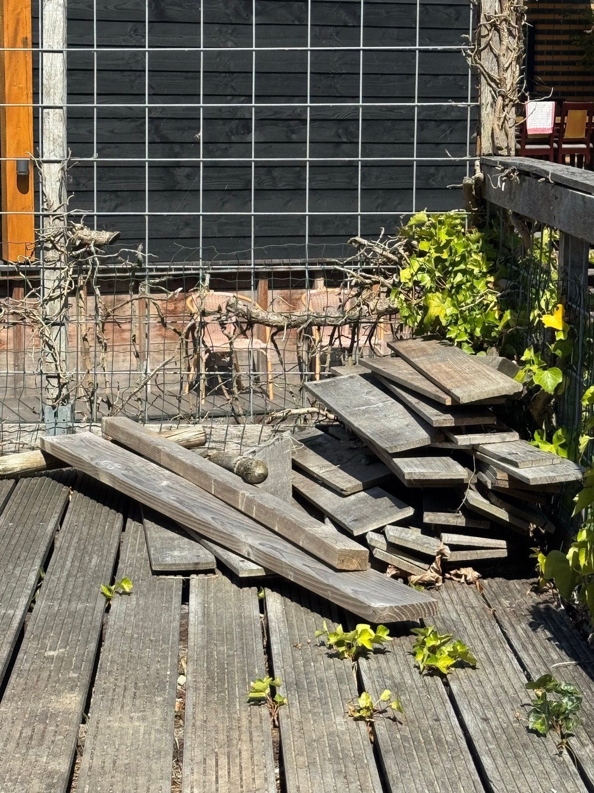 GRATIS Diverse houten planken voor diverse projecten, Doe-het-zelf en Verbouw, Gebruikt, Minder dan 25 mm, Ophalen of Verzenden