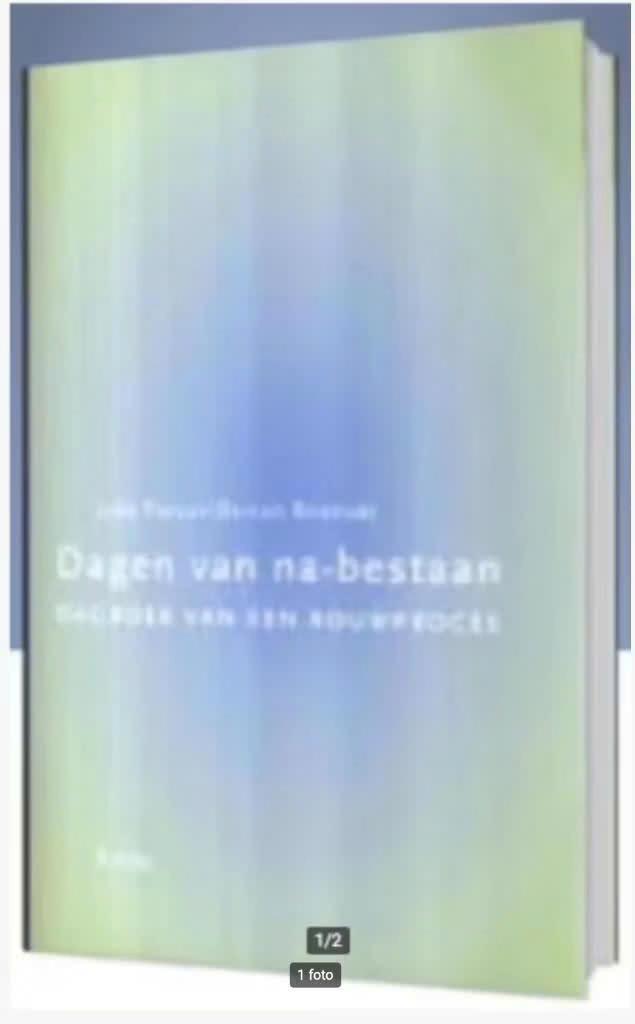 Dagen Van Na-Bestaan (dagboek van een rouwproces) Forceville, Ophalen of Verzenden, Zo goed als nieuw