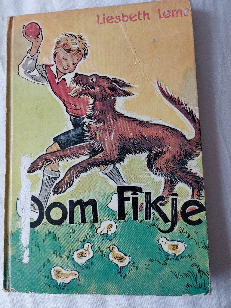 Liesbeth Lems, Dom Fikje, Ophalen of Verzenden, Fictie algemeen
