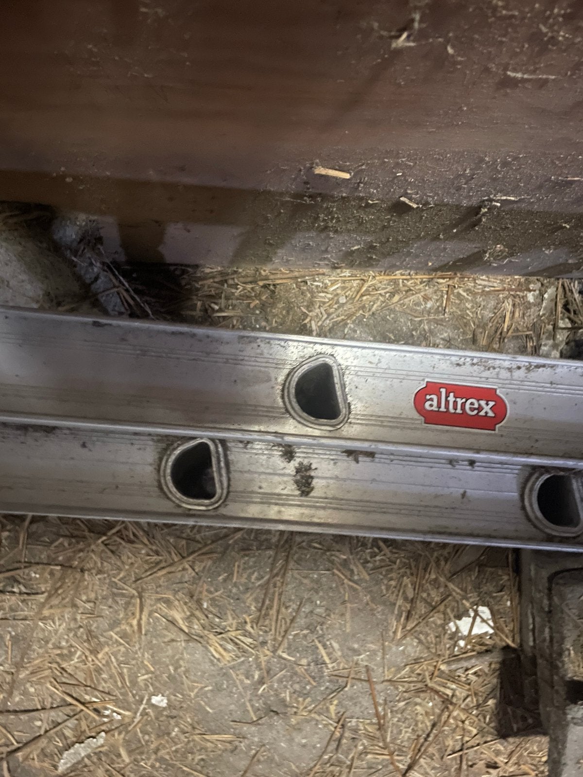 Altrex 2 delig rechte schuifladder. Extra hoog 2x 5.50, Ophalen, Zo goed als nieuw, Ladder, Opvouwbaar of Inschuifbaar