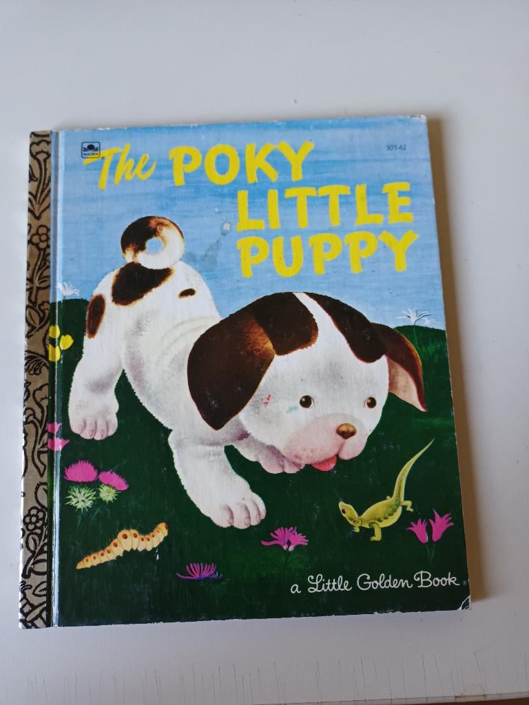 A Little Golden Book//gouden boekje/ Engels, Boeken, Ophalen of Verzenden, Gelezen, Fictie algemeen