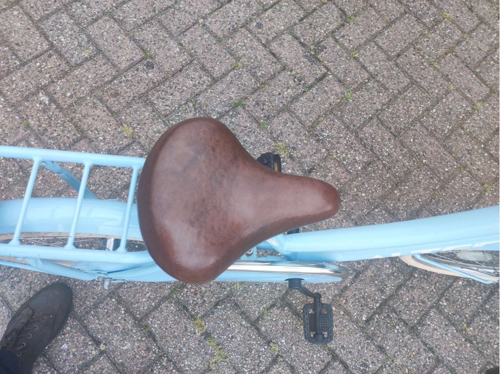 meisjes fiets  netjes 20 inch, Niet ingevuld, Zo goed als nieuw, 20 inch, Niet ingevuld