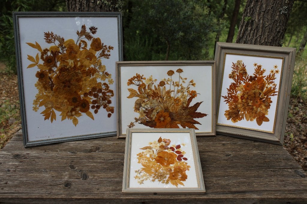 Brocante - Serie droogbloemen in lijst!, Gebruikt, Decoratieobject, Ophalen of Verzenden, Botanisch