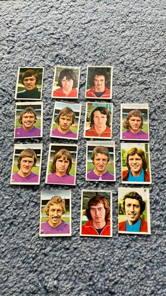 Go ahead eagles panini vanderhout 1975-1976, Ophalen of Verzenden, Gebruikt, Overige binnenlandse clubs, Poster, Plaatje of Sticker