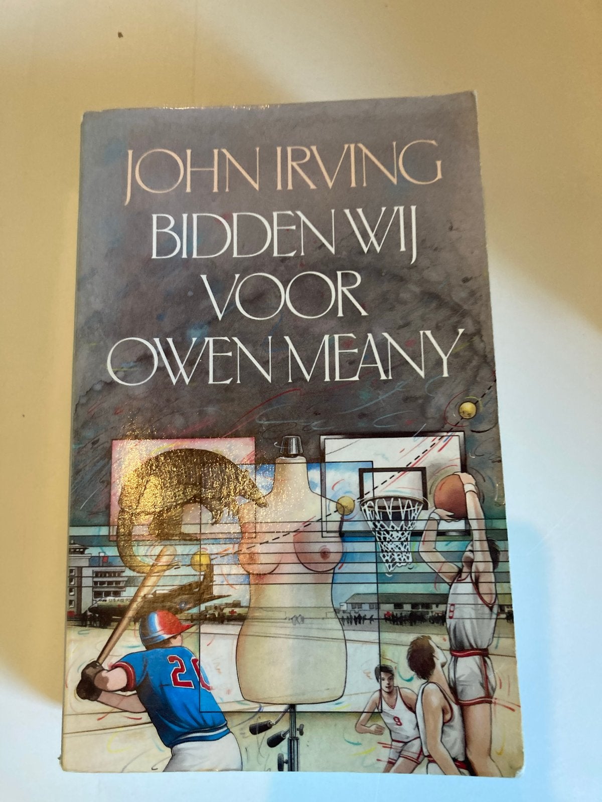 Bidden Wij Voor Owen Meany - John Irving, Boeken, Ophalen of Verzenden, Gelezen, Amerika