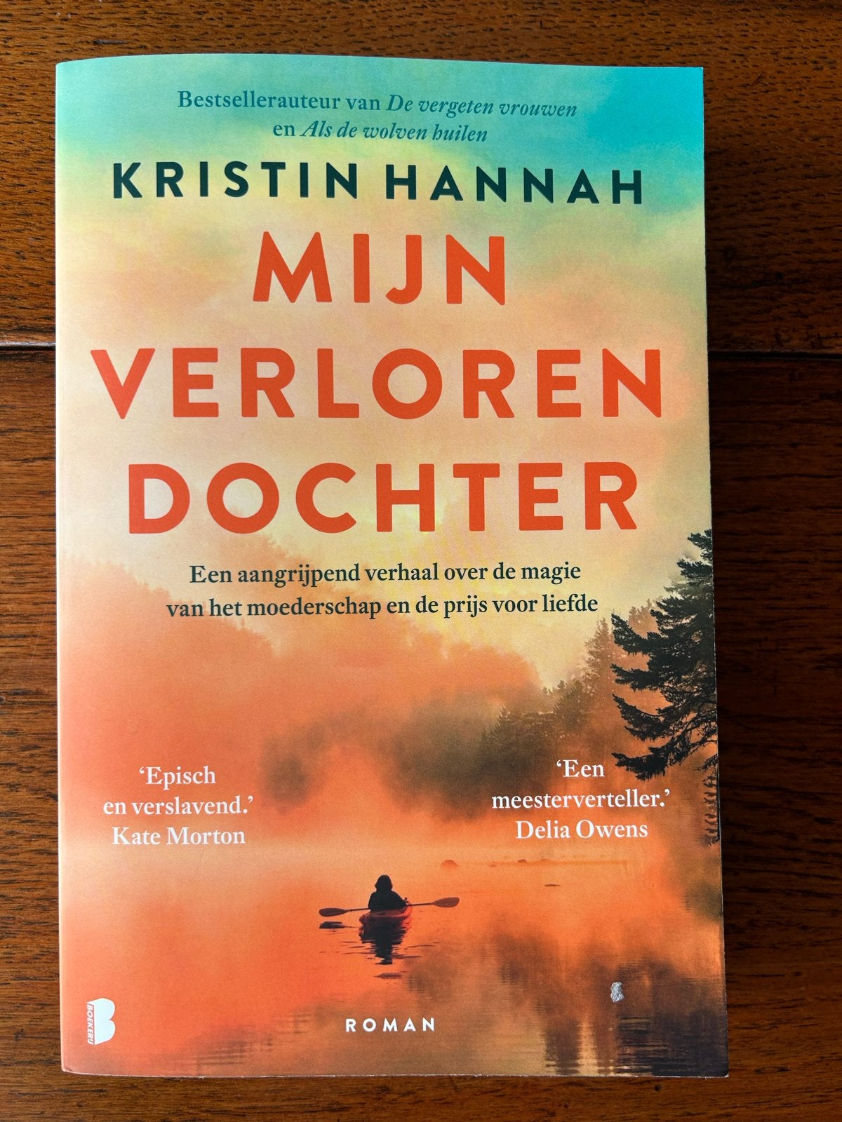 Kristin Hannah (Roman) mijn verloren dochter, Boeken, Ophalen of Verzenden, Zo goed als nieuw, Nederland