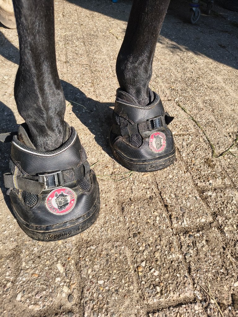 Equine Fusion ultra hoefschoenen mt 16, Gebruikt, Rijden, Ophalen of Verzenden, Equine Fusion
