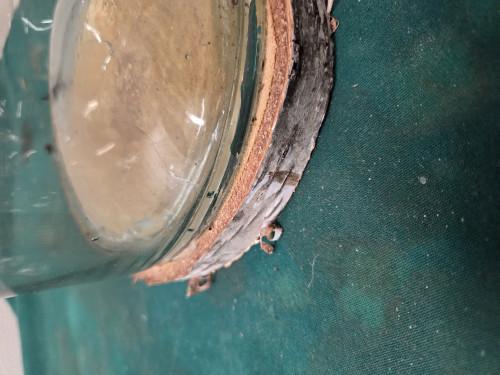 lantaarn glas met boomstam voet, Ophalen of Verzenden, 'T Olde Gre-j, Info@toldegrej.nl, Endepoelstraat 20f Didam