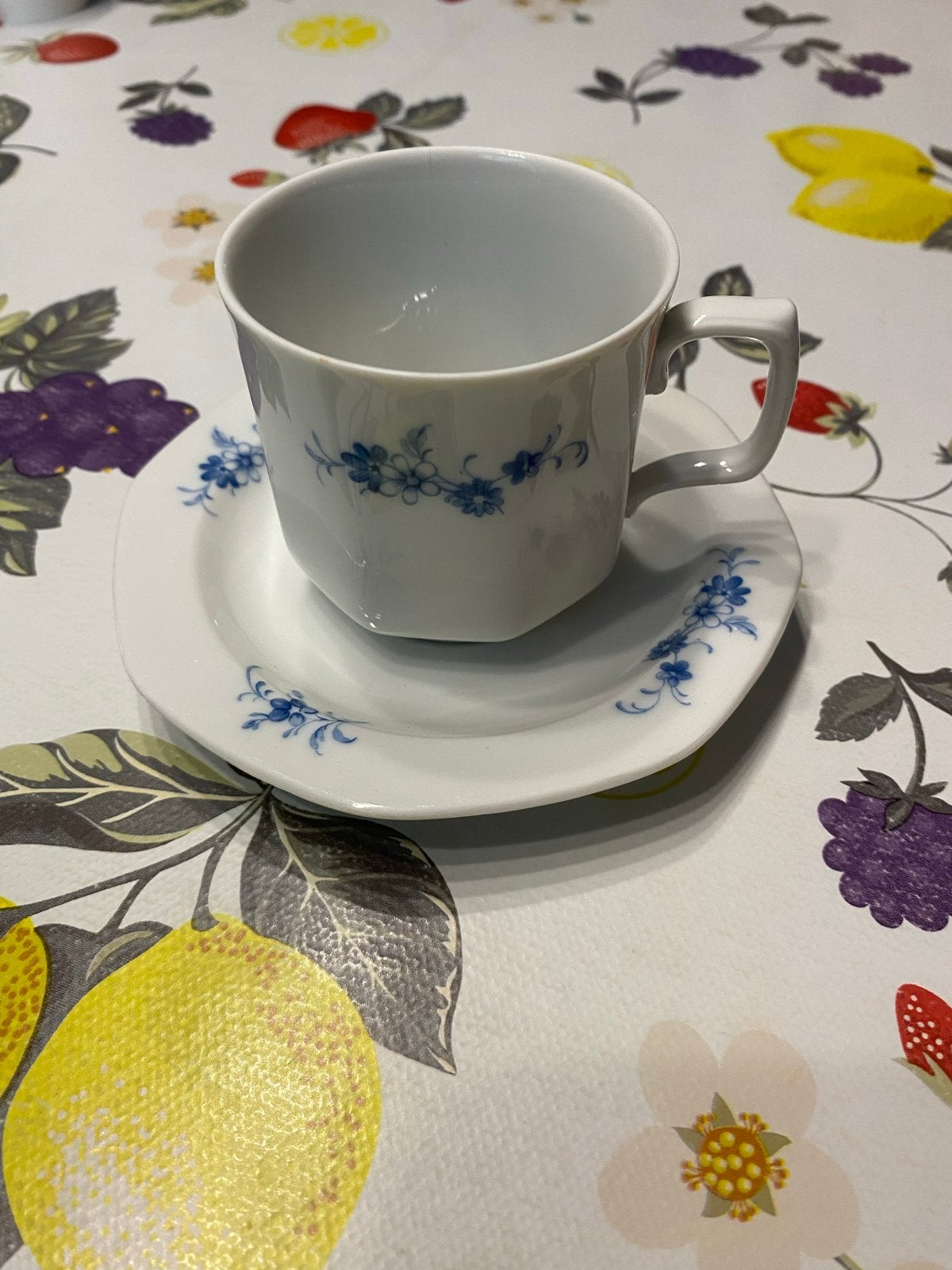 Seltmann Weiden Bavaria W. Germany Kop en Schotel, Ophalen of Verzenden