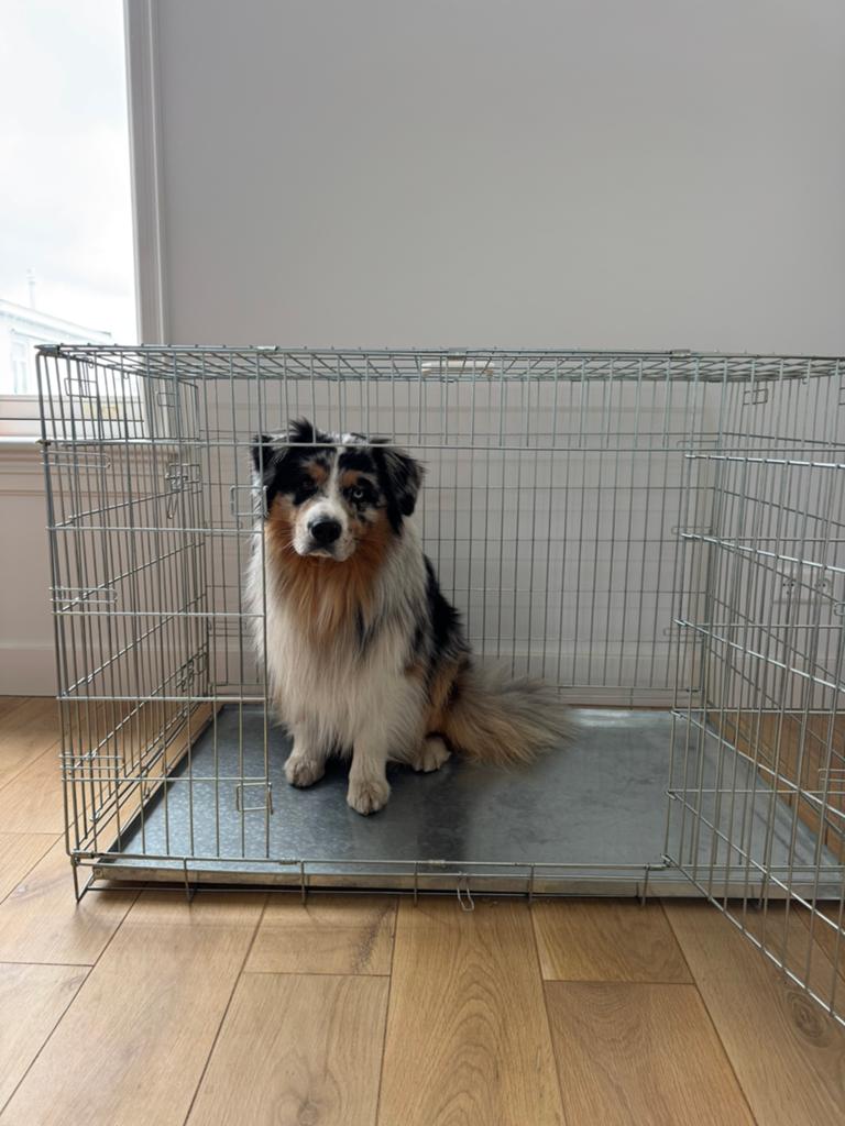 Beeztees 2-deurs Hondenbench 109x69x75 - nette staat, Dieren en Toebehoren, Hondenbenches, Zo goed als nieuw, Ophalen
