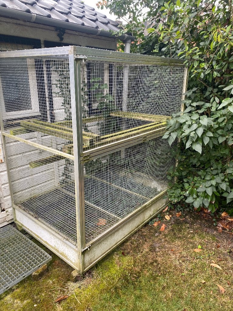 Duivenren/volière, Meerdere dieren, Overige soorten