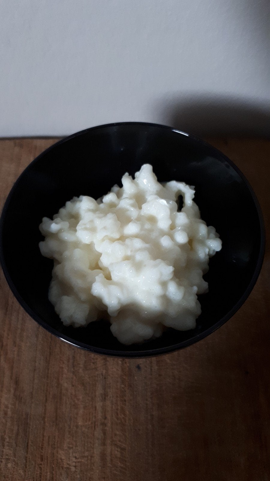 melkkefir 100 gram € 5,00, Diversen, Levensmiddelen, Ophalen of Verzenden