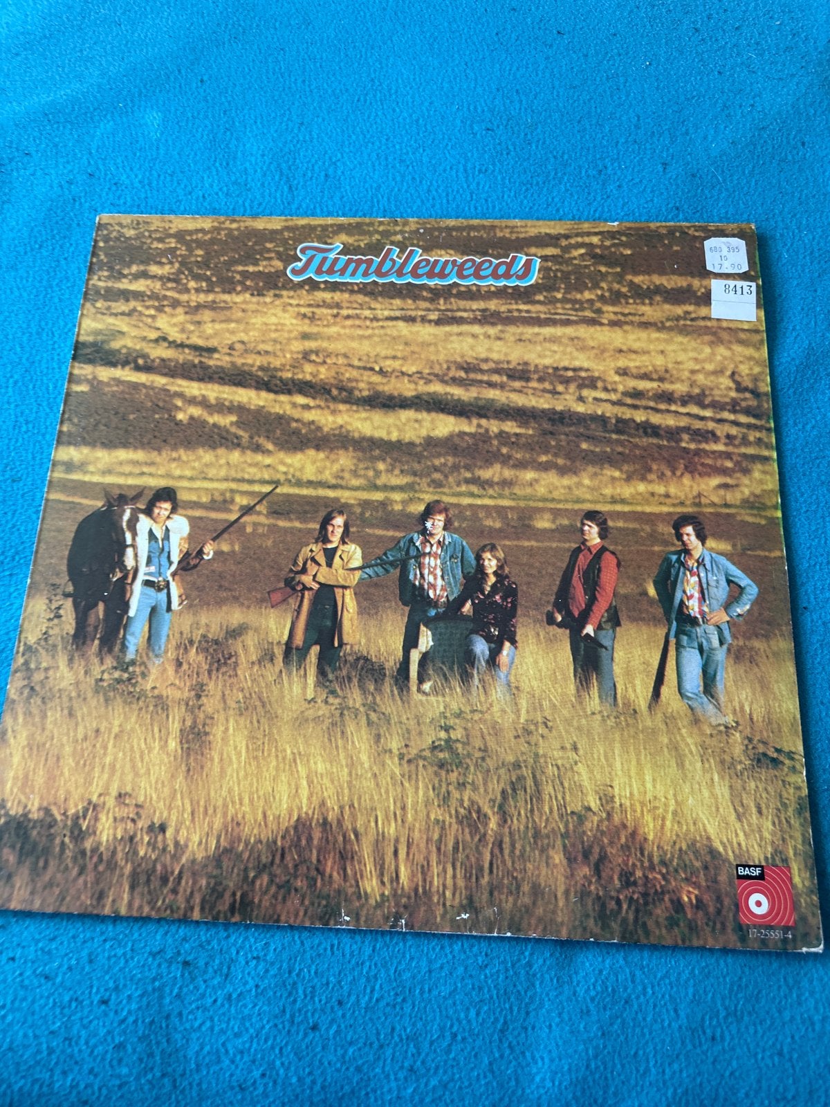Tumbleweeds - Tumbleweeds LP (1974) Country Folk, Ophalen of Verzenden, Gebruikt, Album, Country