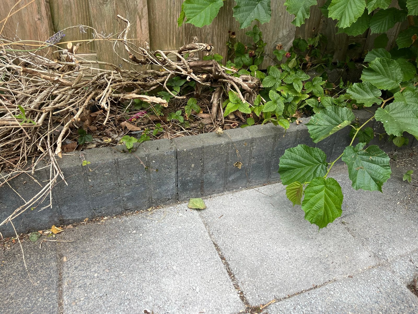 Gebruikte betonnen borders 4 meter, Tuin en Terras, Bielzen en Borders, Ophalen, Gebruikt, Overige typen, Beton